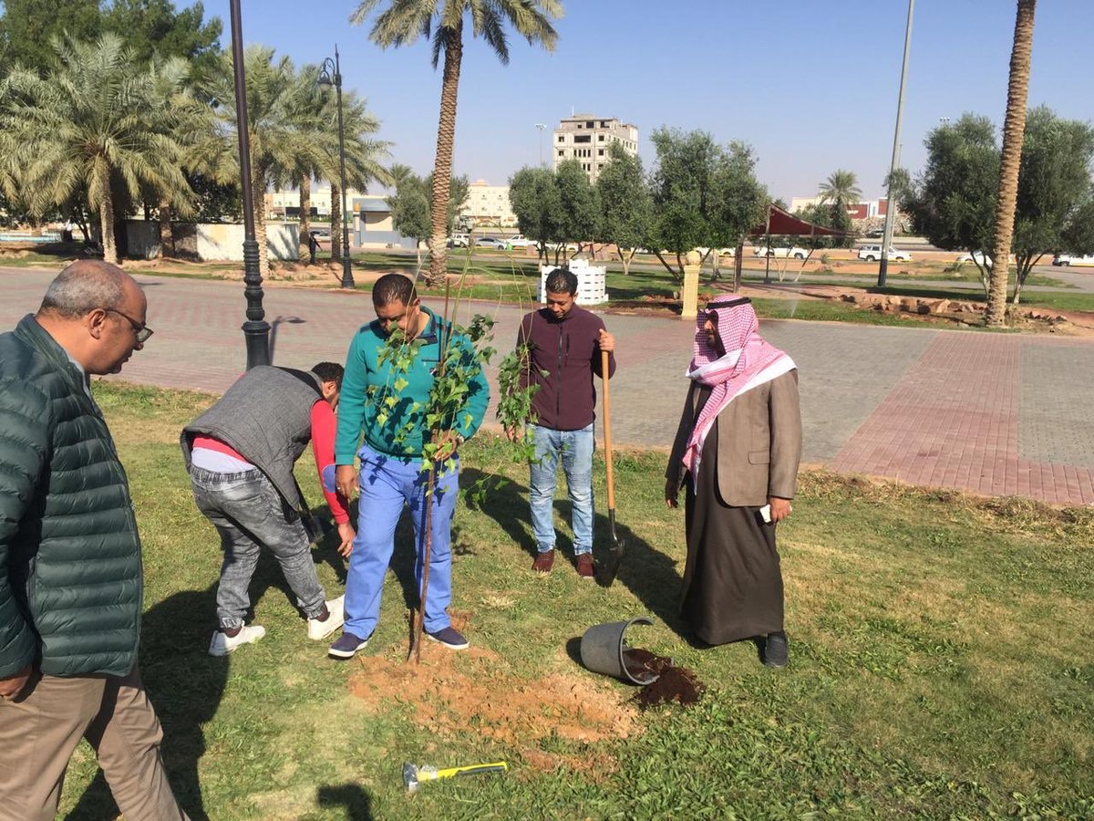Amanat_Hail's tweet photo. #حائل .. المتطوعون والمتطوعات
يشــــاركون “أمانة حائل” في معالجه التشوه البصري وغرس الشتلات بالحدائق
.. #يدا_بيد_نرتقي🤝

#مبادرة_التطوع_البلدي
#وزارة_الشؤون_البلدية_والقروية https://t.co/34ndYj2lYP