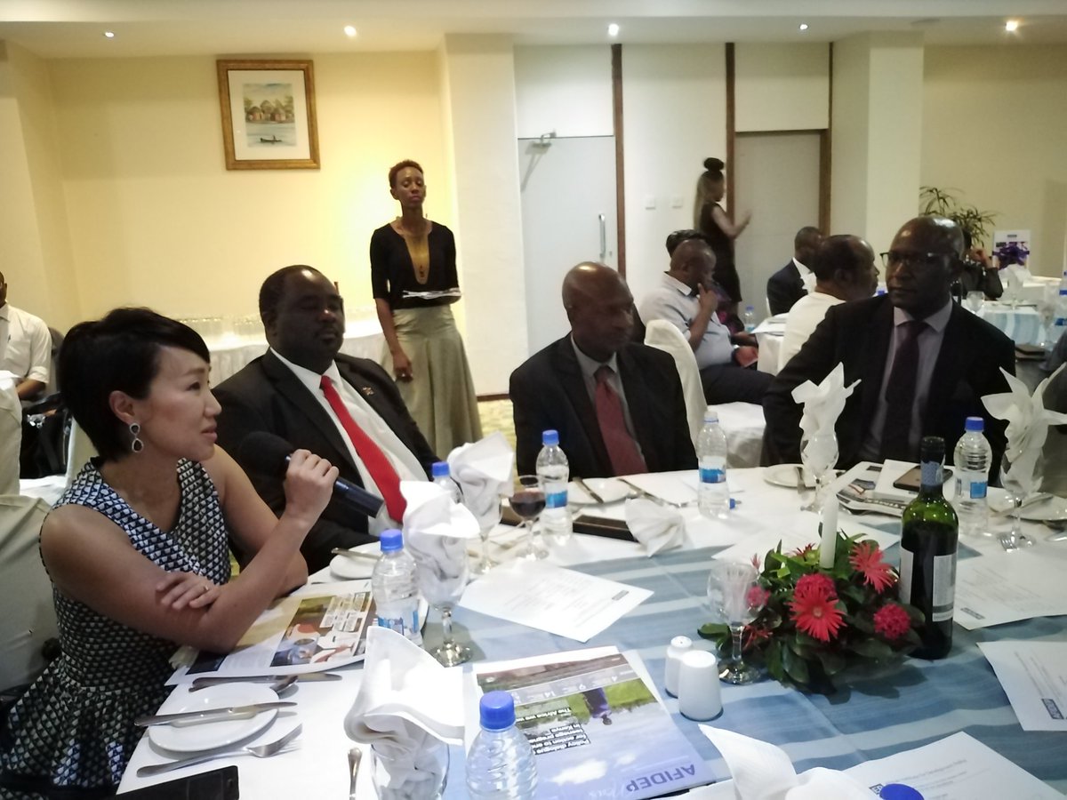 Afidep's tweet photo. Excited!! Here is a preview of @Afidep strategy 2020-2024. Initial launch happening now in #Malawi #Afidepstrategy2024 Gracing the occasion are our Board Members, Parliamentarians and Partners @UNFPAMalawi https://t.co/vNAthBsr2S