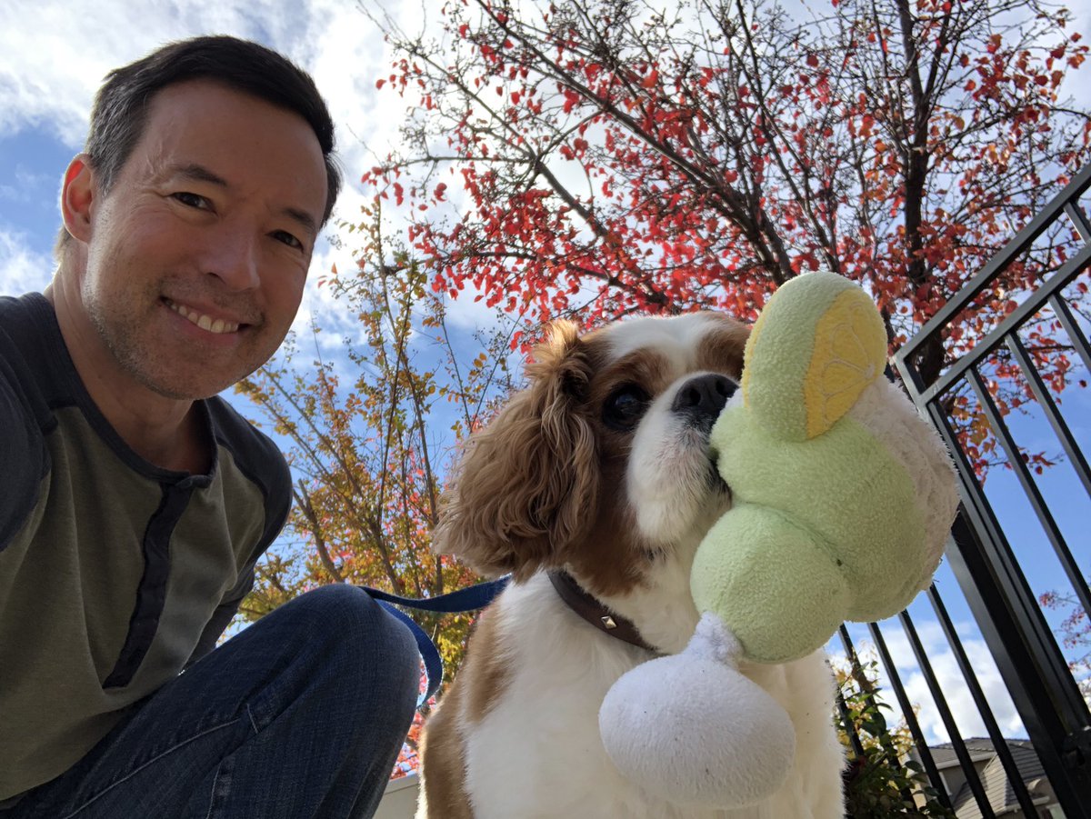 RobMayeda's tweet photo. Getting a walk in before the rain later, which this canine #BabyYoda usually does w/ a mutt-garita 🐶 Happy Friday. #theBarkSide https://t.co/psxKPOfx85