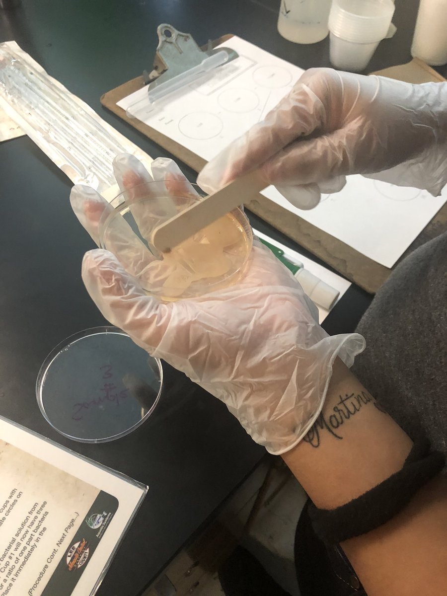 MsNFisher18's tweet photo. Marine Biology setting up their bacteria solutions with mosquito larvae to see death rates! @LCMosquitoEd @SuccessLCSD https://t.co/zVtrF0HqfT