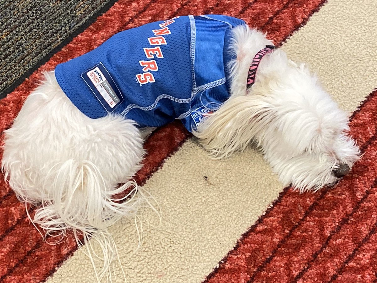 caplin_alan's tweet photo. Friday afternoon nap. @StarkPrincipal @estradac_cfb https://t.co/hcq3tZK1NZ