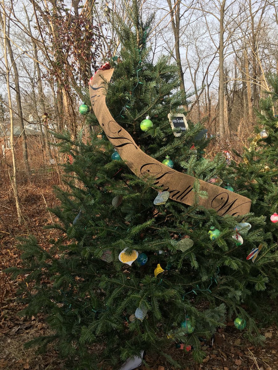 Mrs_Mooney7's tweet photo. “It’s A Small World After All” 4th grade had fun decorating our Going Global tree on the Holiday Trail! Check it out to learn some neat holiday facts about different countries and cultures! #goingglobal #itsasmallworldafterall #fantasticfourths #gofourthandconquer @FSDVikings https://t.co/3Fhz3w3TaC