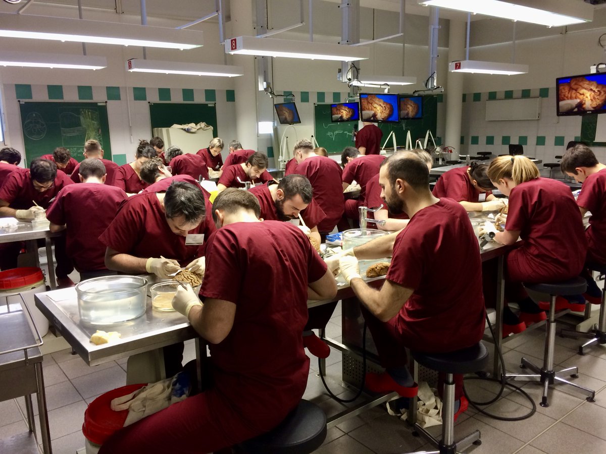 AnatomieTours's tweet photo. Thanks to the 24 participants from 11 different countries who attended the 2d @EANSonline white matter course dissection organised in the anatomy lab in Tours @AnatomieTours , @FacmedTours , @UnivTours , @iBrain_Inserm https://t.co/JJ2m0Tad6x
