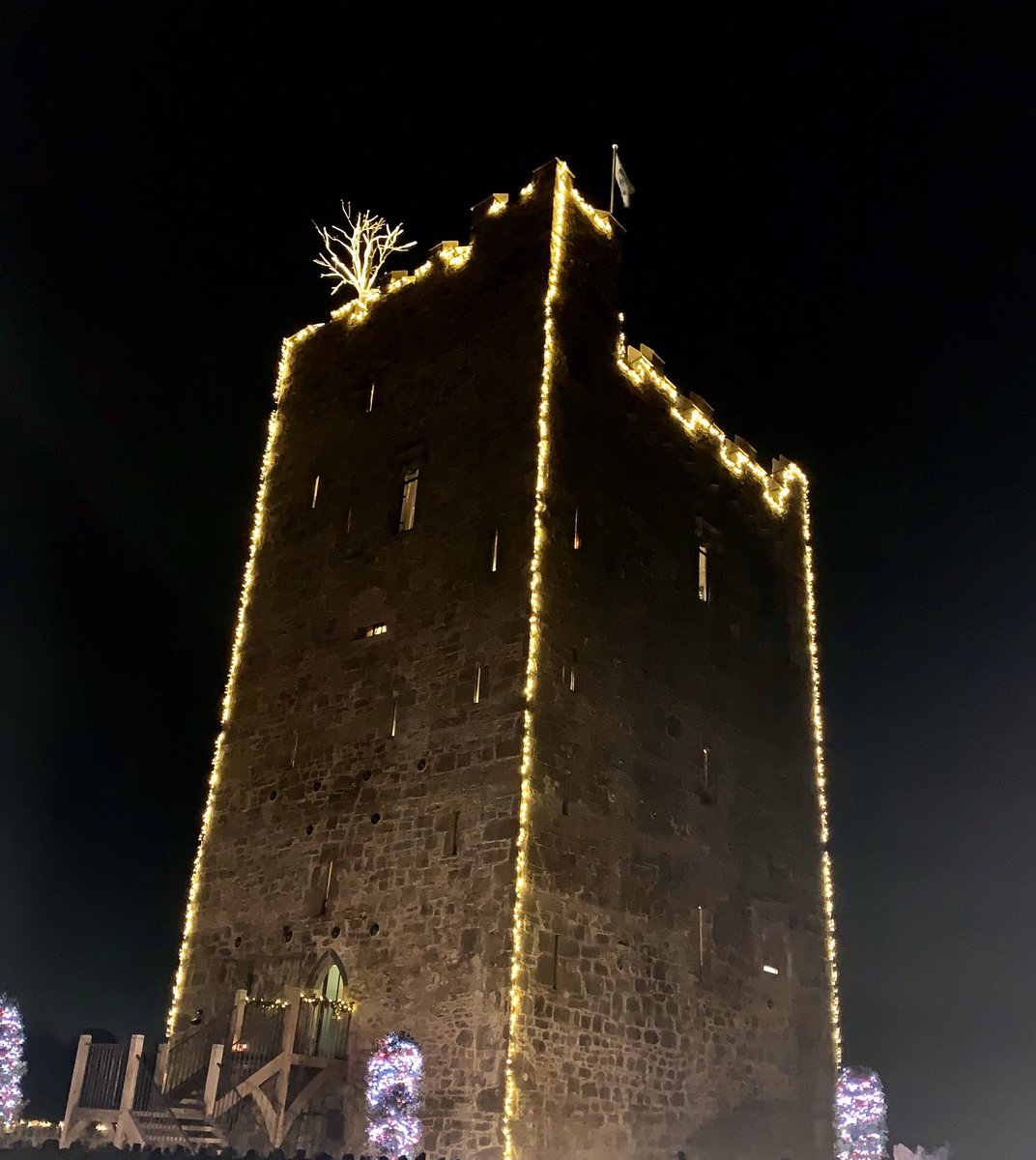 Happy Christmas from Belvelly Castle #Cobh
