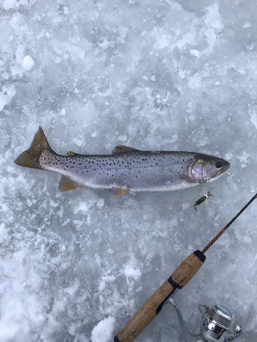 MtnWestIceFish's tweet photo. Great Day on the ice in Northern Utah! @JawJackerFishin coming in clutch on the 19” #tigertrout #3speciesday
#underarmour #yeti #sportsmanswarehouse #mtndew #icefishing
#uglystik #jawjacker #procurebaitscents #maniaclures #marcumshowdown #bft #801 #jetsled #ratfinkee #clam https://t.co/hCRkJCYBe9