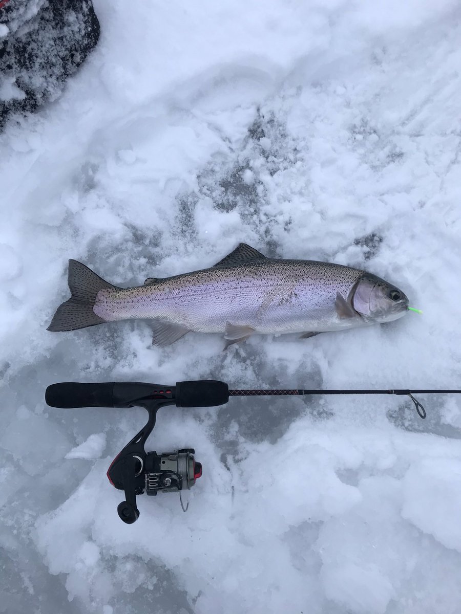 MtnWestIceFish's tweet photo. Great Day on the ice in Northern Utah! @JawJackerFishin coming in clutch on the 19” #tigertrout #3speciesday
#underarmour #yeti #sportsmanswarehouse #mtndew #icefishing
#uglystik #jawjacker #procurebaitscents #maniaclures #marcumshowdown #bft #801 #jetsled #ratfinkee #clam https://t.co/hCRkJCYBe9