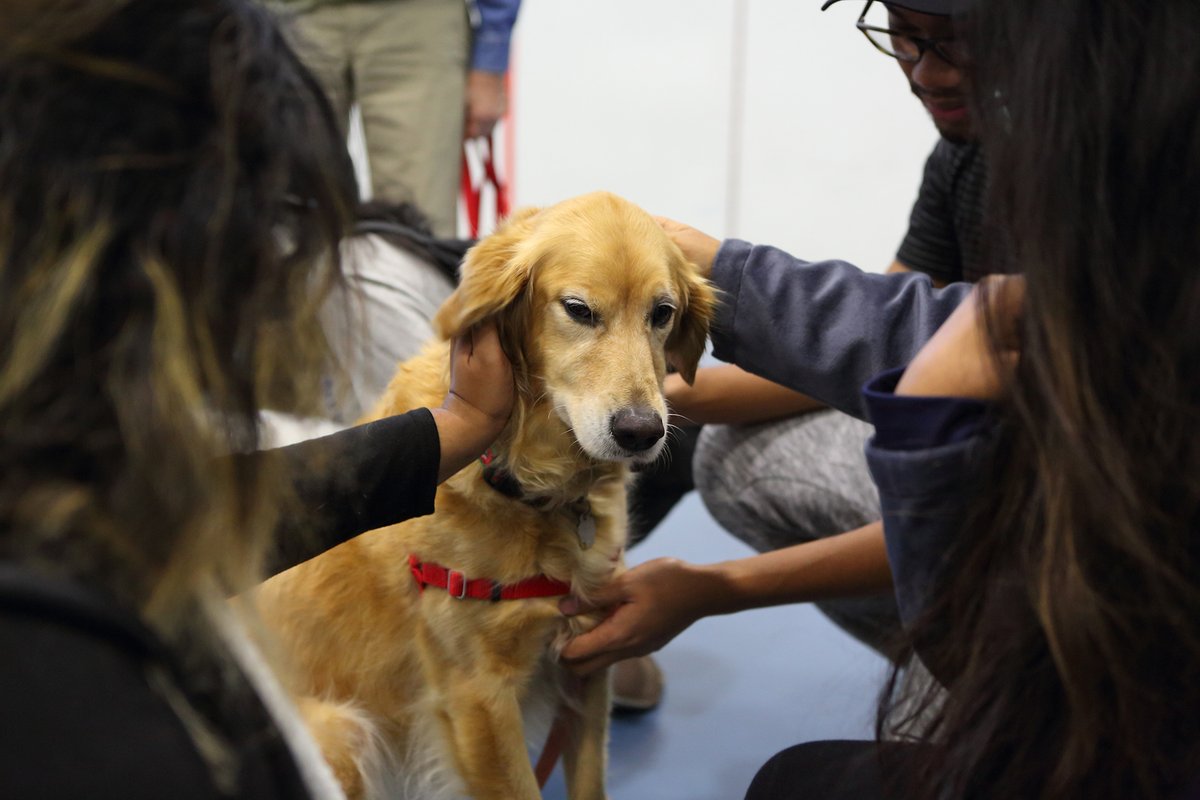 Finals are here! De-stress with #FlamesFinishStrong events! Today's event: DoggyPalooza! See a complete list here: go.uic.edu/FlamesFinishSt…