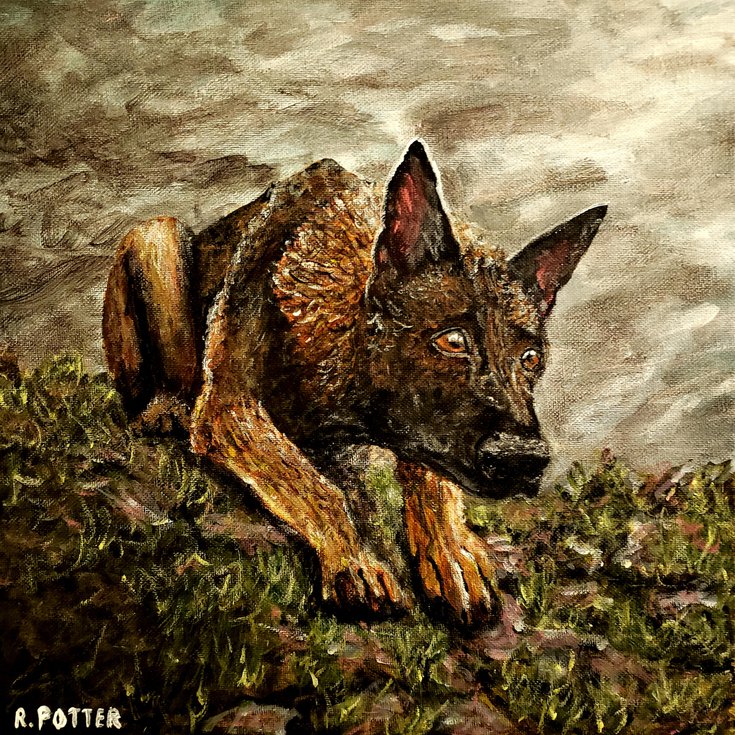 ArtfinderDogs's tweet photo. Eyes Of Bravery by @robbiepotterart #acrylic #painting #art https://t.co/RJUdtaEaqY @artfinder https://t.co/wXNlT2YI7W
