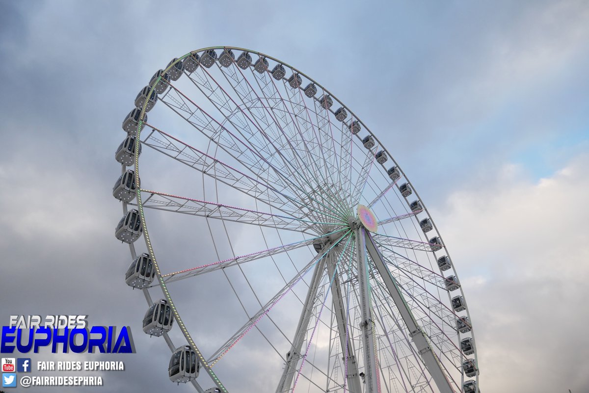 Thrill Rides Euphoria tweet media