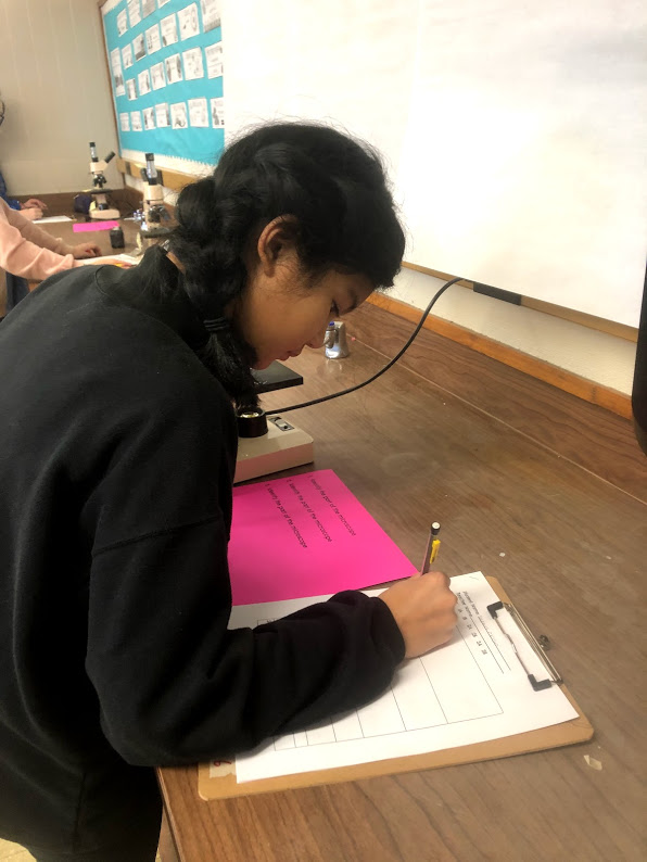 Anthony Petersen tweet media