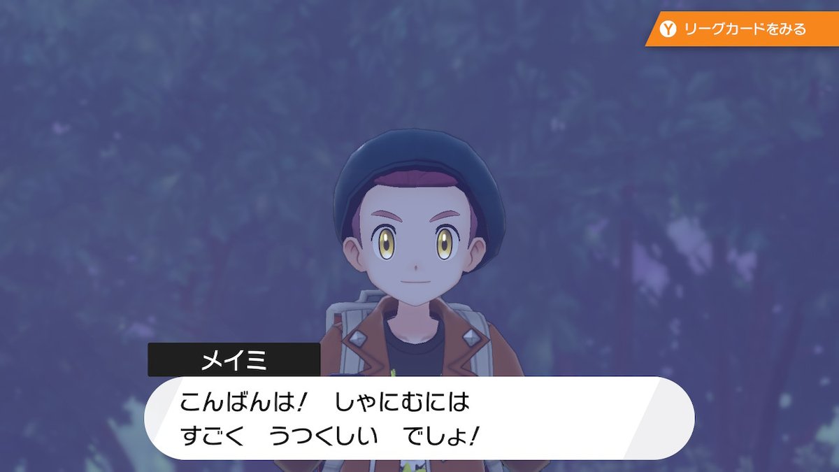 樹来のスクショ垢 みんなかわいいなあ ポケモン剣盾 Nintendoswitch