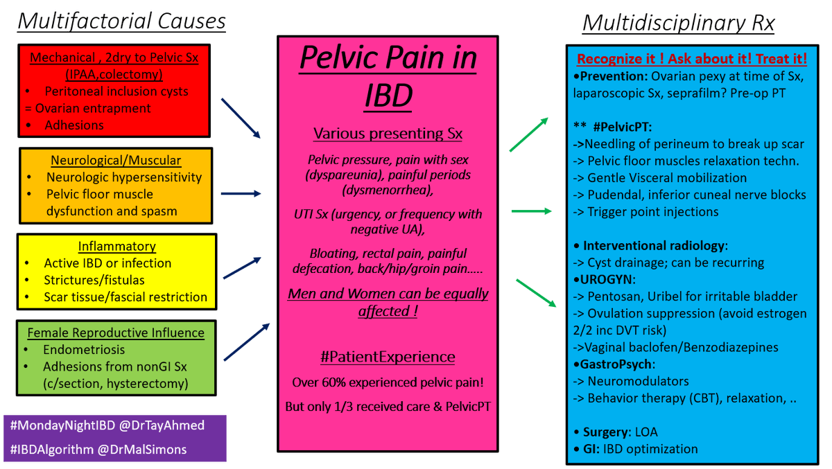 DrMalSimons's tweet photo. @DrTayAhmed @MondayNightIBD @DCharabaty #PelvicPain in #IBD has multiple etiologies and many treatments options! Here is a summary slide! Thank you for a great discussion! @DCharabaty @DrTayAhmed @MondayNightIBD #IBDalgorithm https://t.co/MEVQoIIcP0