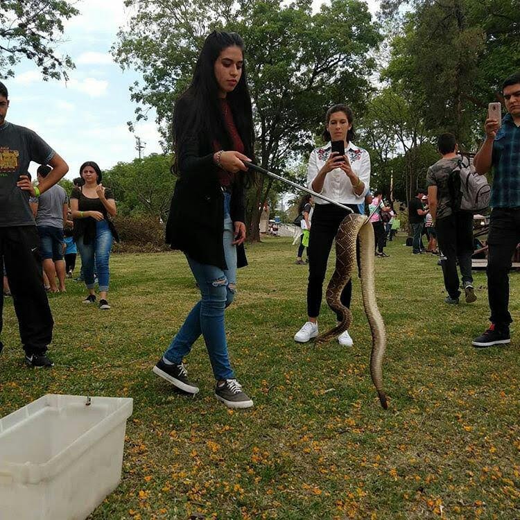 VereeVargas's tweet photo. Solo pasaba a recordarles que hago rescates de reptiles. Me encargo de ir a buscarlos y soltarlos en su hábitat. Los animales salvajes siempre vuelven a estar en libertad. Así que si te encontrás con alguno en tu casa o alrededores por favor avísame, no los mates ni los lastimes! https://t.co/i5jvy99jbX