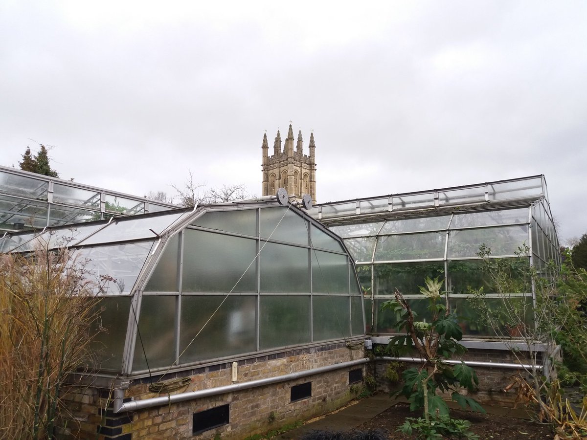 silverbirch701's tweet image. @TheTreeCouncil great day at Oxford university botanical gardens -venue for the final gathering of the Pilot tree warden advisory group 2019.  Looking forward to 2020 and celebrating 30 years of #treewardens