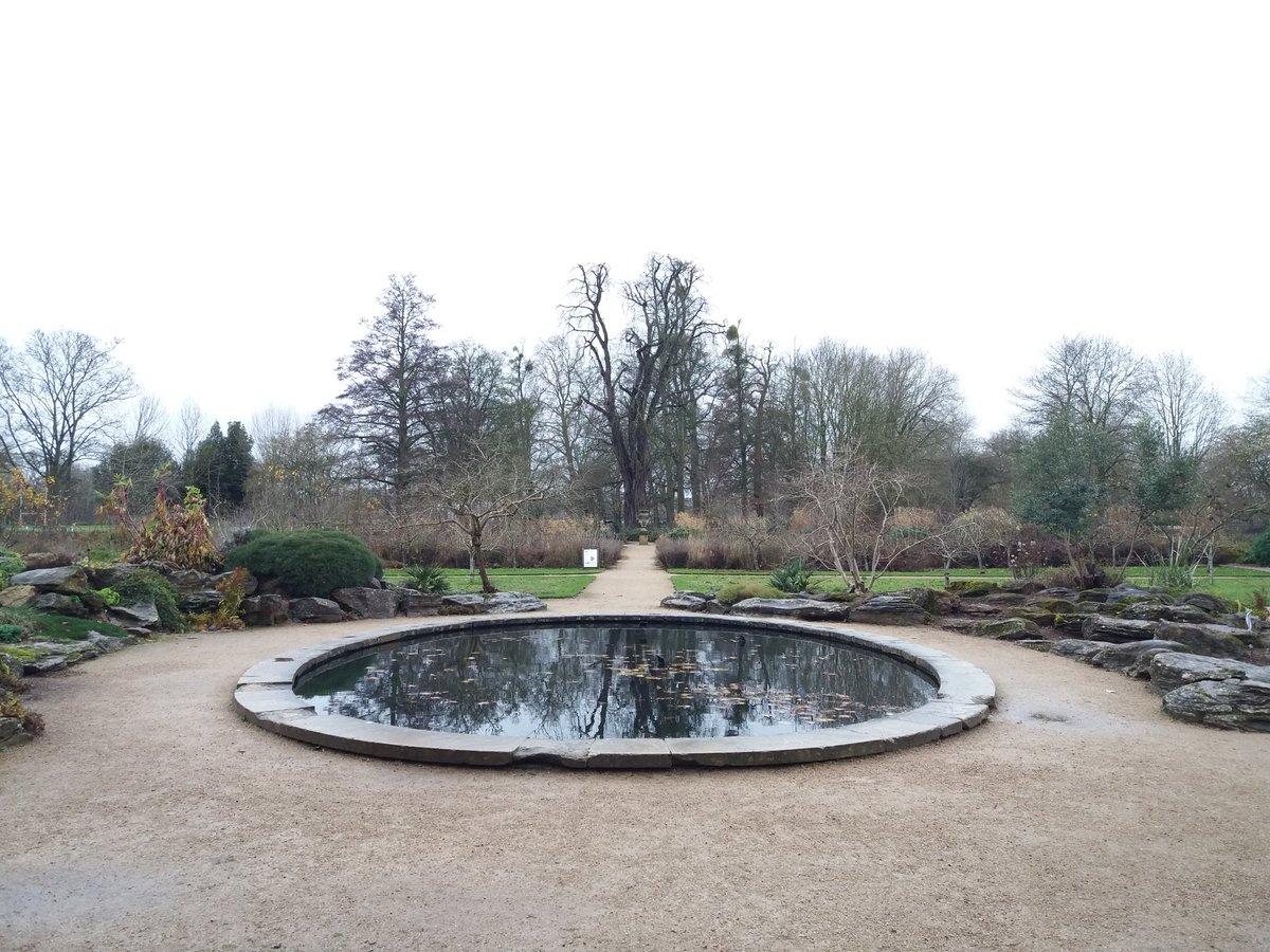 silverbirch701's tweet image. @TheTreeCouncil great day at Oxford university botanical gardens -venue for the final gathering of the Pilot tree warden advisory group 2019.  Looking forward to 2020 and celebrating 30 years of #treewardens