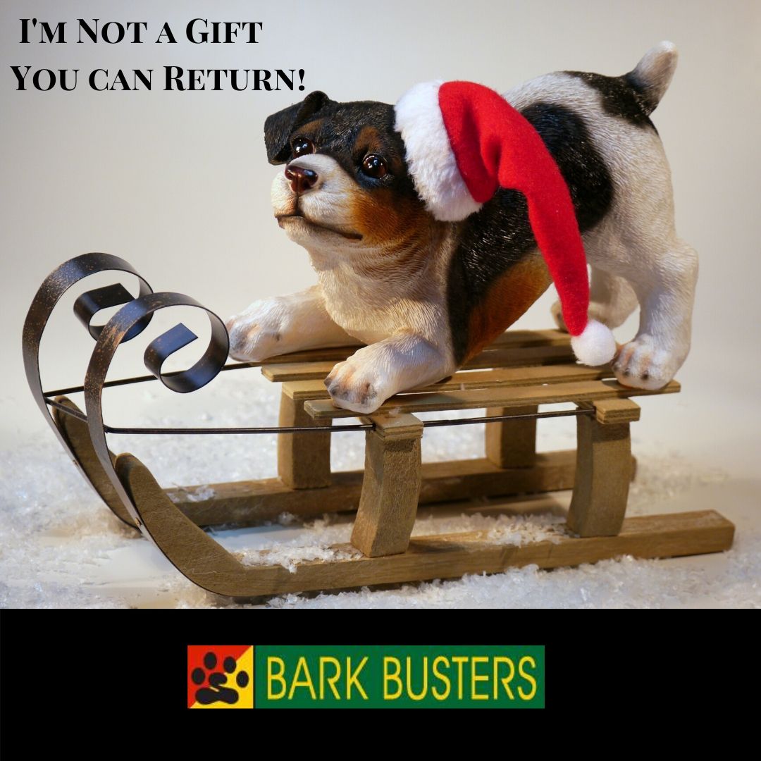 BarkBustersWSW's tweet image. If your dog has behavior problems, don't return him ... Bark Busters can help overcome any issue!