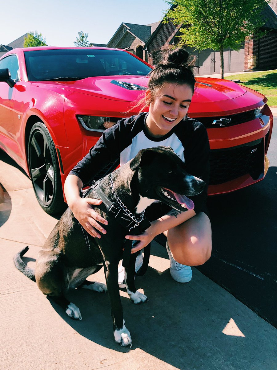 innerpres's tweet photo. it would be super helpful if you guys could send up some good energy or a prayer for sage. shes at the emergency vet about to have surgery because this morning she slipped a disk and became paralyzed in her back legs. i know she’s a tough girl, but anything helps 🥺 https://t.co/keAtwUBish