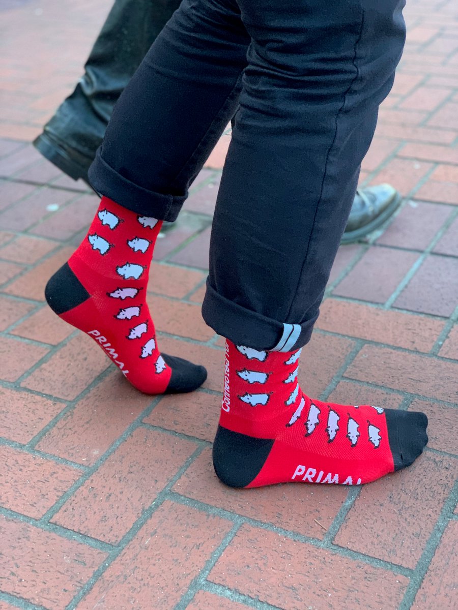 TourDeCureORWA's tweet photo. Oink oink! Keep your little piggies warm this winter with a pair of our pig socks! Simply make a personal donation of $30 towards your Tour de Cure fundraising goal by December 22nd to receive a pair. https://t.co/r8veIW6B3Q https://t.co/T0BljRcYBE