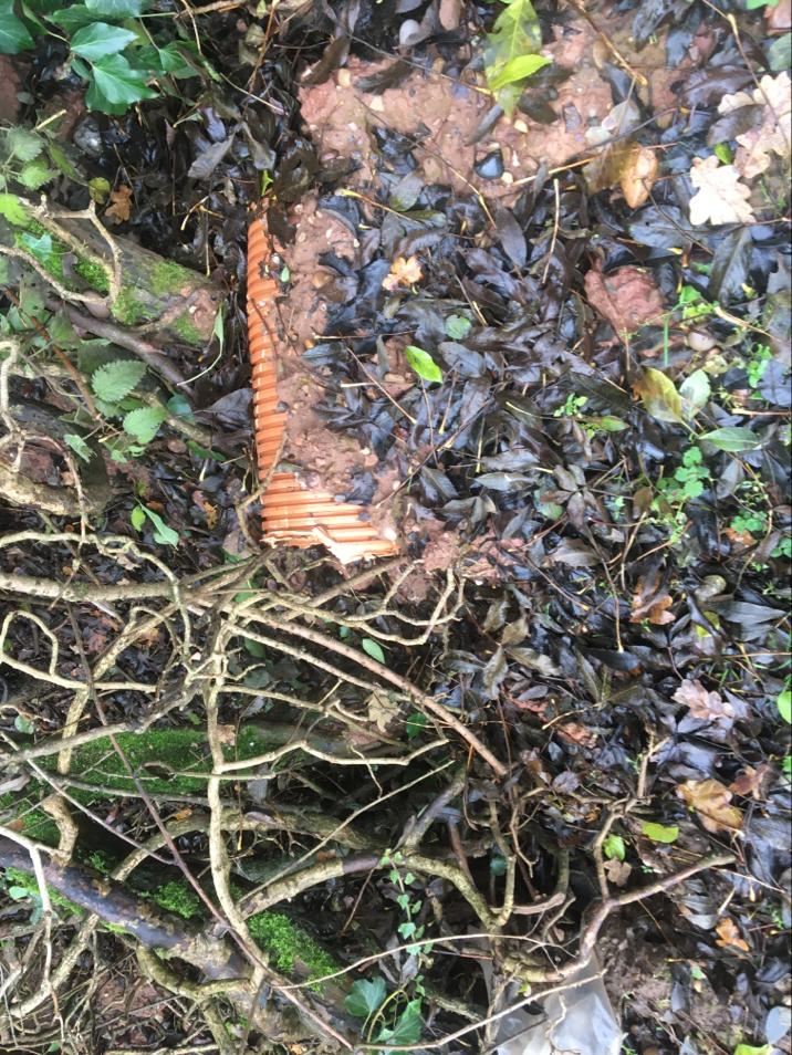 Greenercleaner3's tweet photo. @BadgerTrust What are you going to do to stop damage to habitats?
@BorisJohnson @jeremycorbyn
@CarolineLucas @joswinson  @JaneMHunt @stuart4lboro @WesleyGWalton  
Photos from a building development in #shepshed #charnwood 
Go see it: https://t.co/5c3miyzZKi  #GeneralElection2019 https://t.co/MPPjRxbIgv