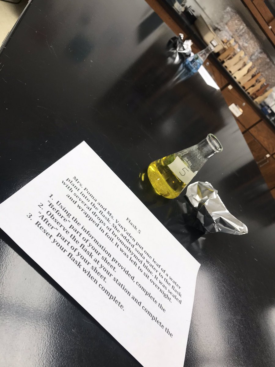 MsVanValen's tweet photo. Love when new inquiry activities work out! Students activated prior knowledge of photosynthesis &amp; chemical indicators to interpret the photosynthetic ability of different flasks. So many "ah-ha" moments! 🌿 https://t.co/G59Q57lmth