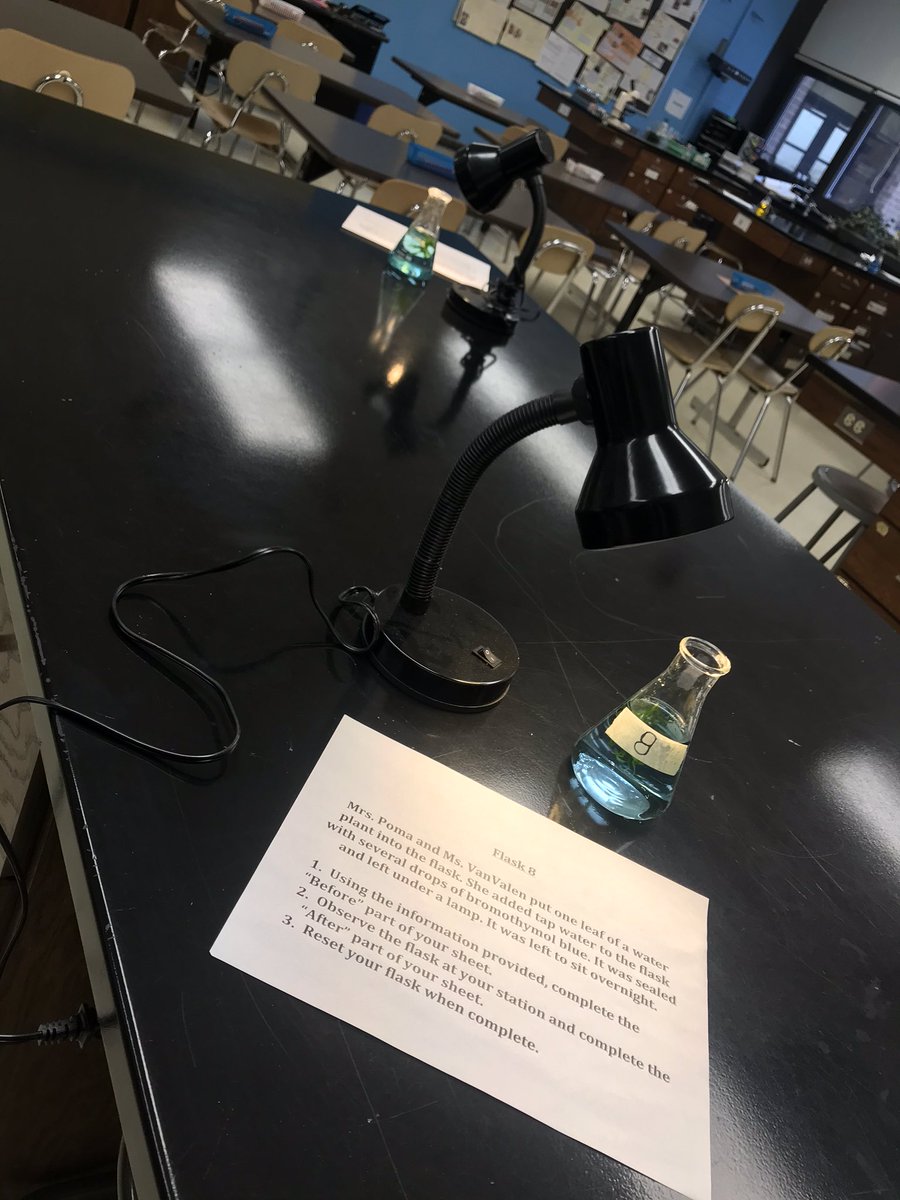 Love when new inquiry activities work out! Students activated prior knowledge of photosynthesis &amp; chemical indicators to interpret the photosynthetic ability of different flasks. So many "ah-ha" moments! 🌿