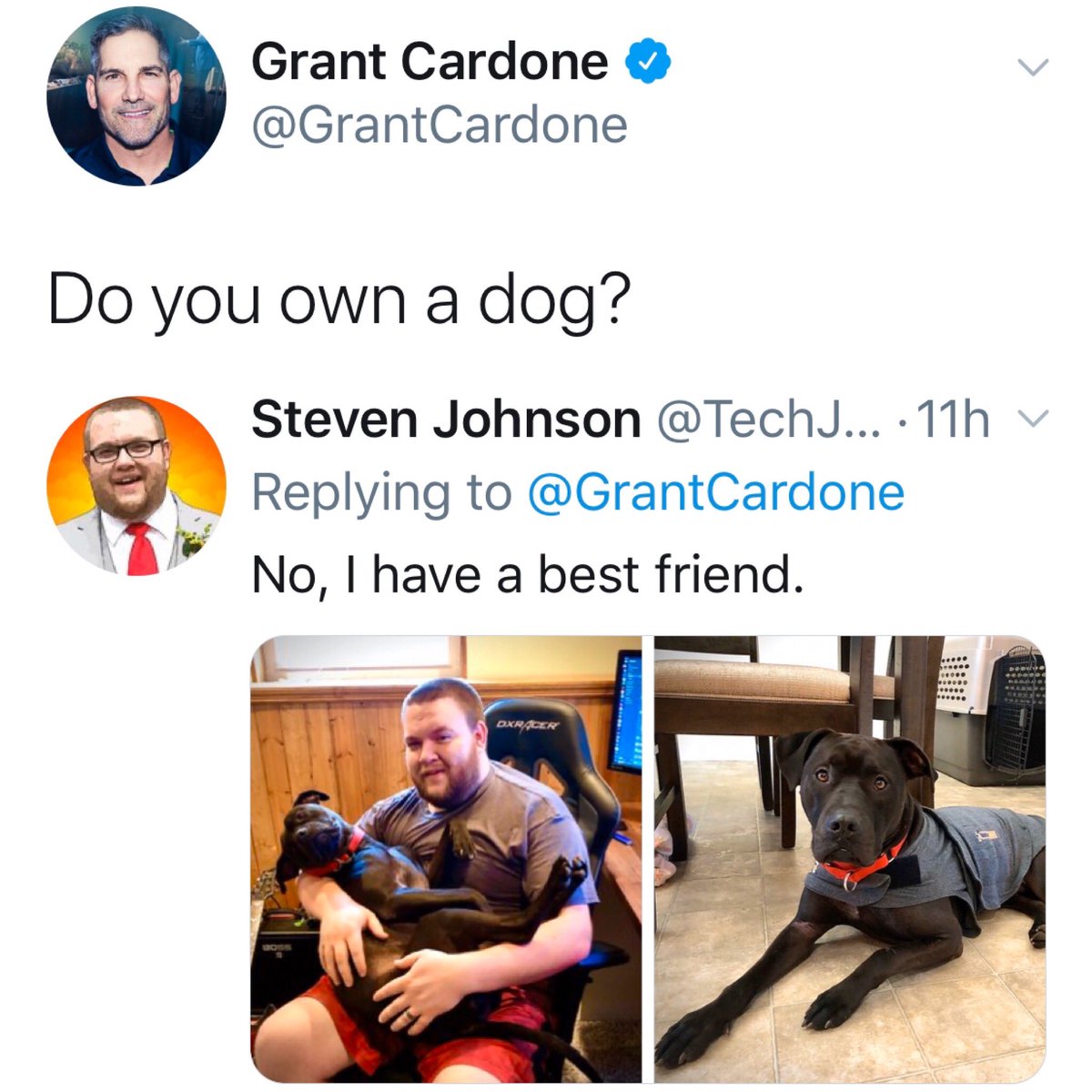 locatedpet's tweet photo. I like the way Steven responded!👌😊😁❤️🐕🐈 

Pets are our friends, buddies, soulmates! They bring more to our lives than it may appear. In addition to love, companionship, and the emotional connection that humans crave, we actually change our actions when owning a pet. https://t.co/yKqpgLMXCC