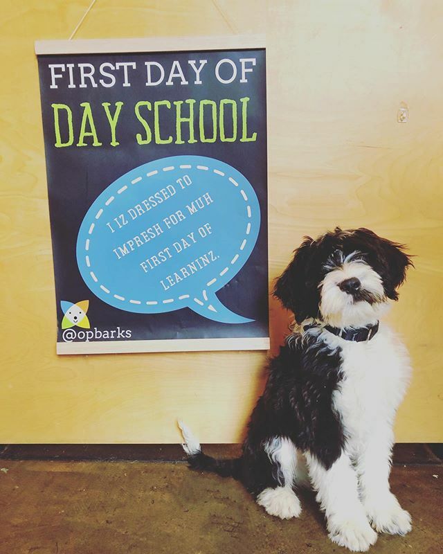 Opportunity Barks tweet media