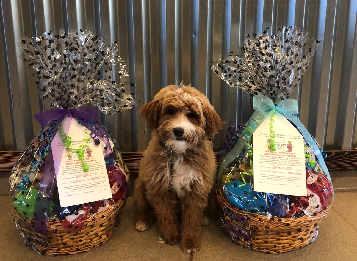 Holiday Barn On Twitter Lilly Is Very Excited To Present The