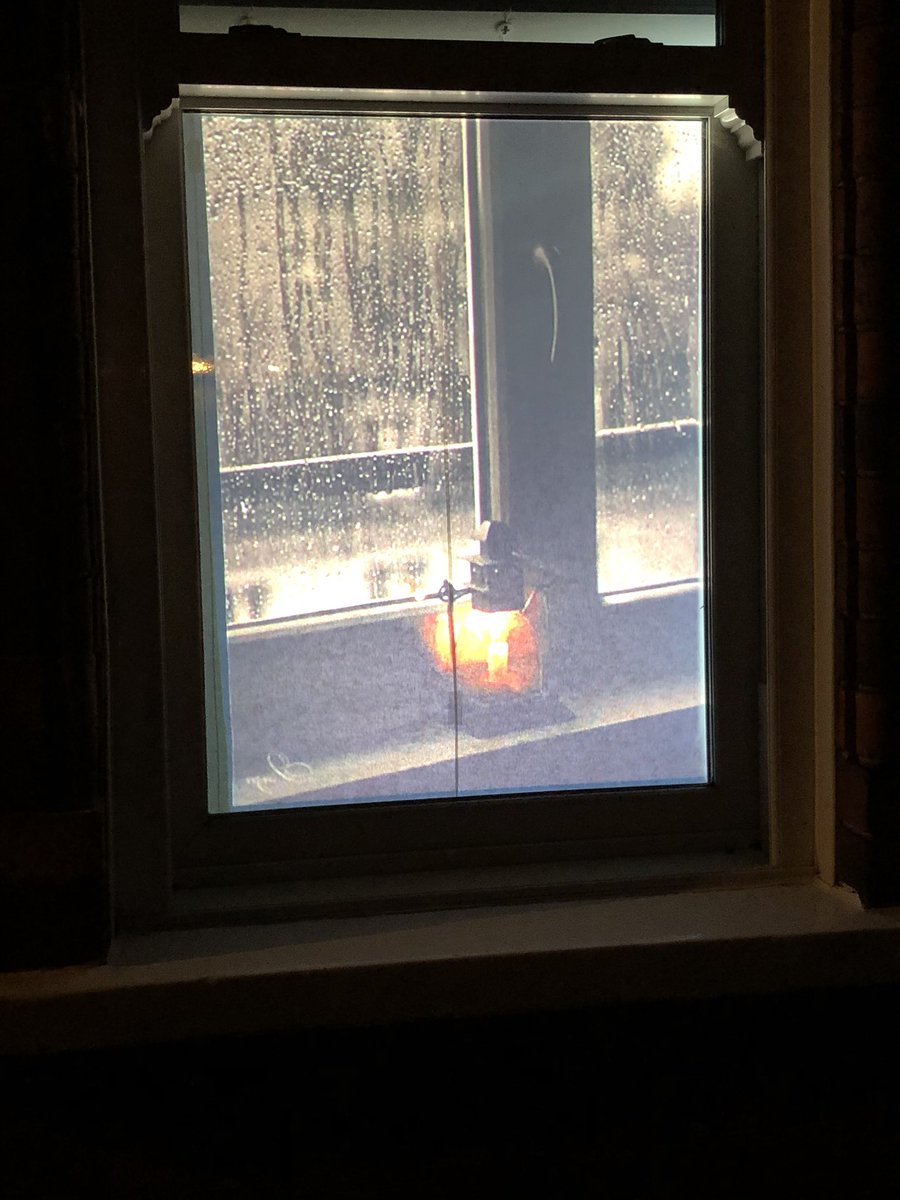 Lucinda Preston tweet media