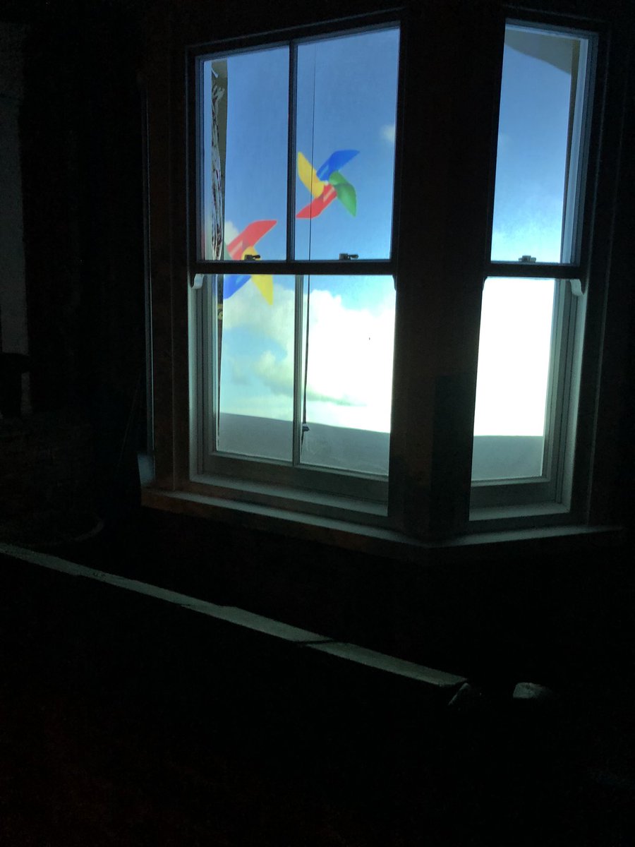 Lucinda Preston tweet media