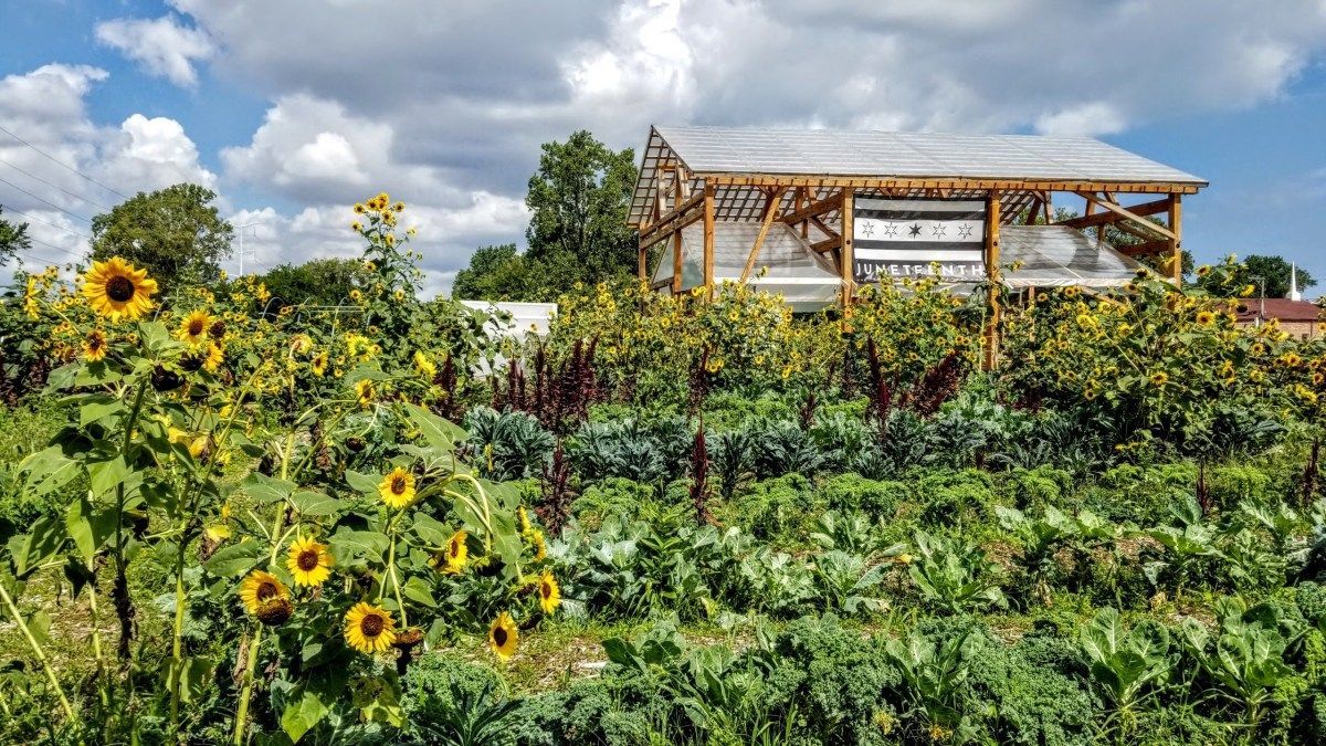 Revolutionary Earth tweet media