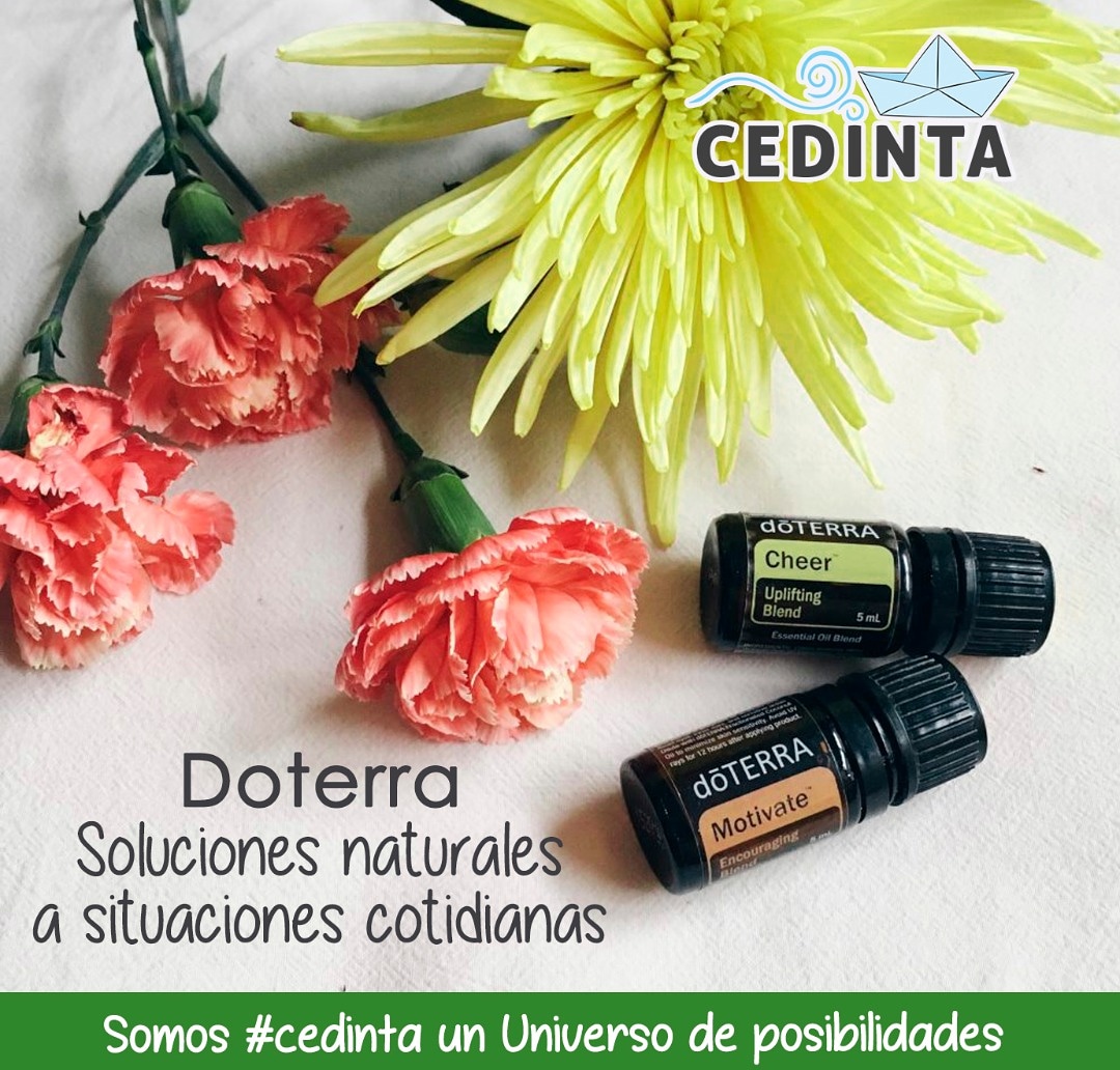 cedinta's tweet image. 🎉Ya puedes conseguir los aceites esenciales dōTERRA con nosotros #Cedinta un universo de posibilidades 👉🏻 con gusto puedes escribirnos y te proporcionaremos la información 😊
#aceitesesenciales #doterra
#Psicopedagoga #bienestarfamiliar #charlas #conferencias #6Diciembre