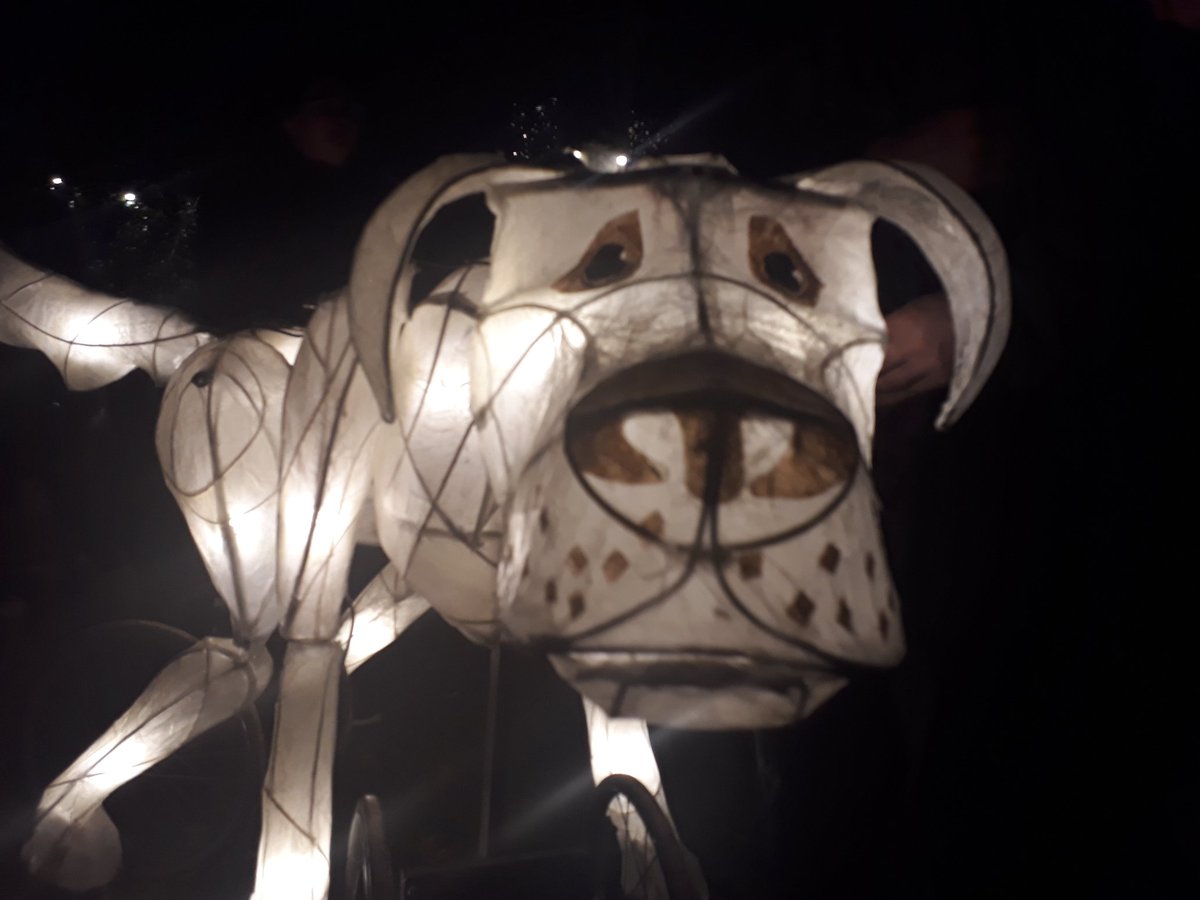 CliveBronydd's tweet image. Thanks for being part our Lantern event
@gorsaf Aberteifi, Carnival committee , Barley Saturday/Show 
@theatrbydbychan &amp;amp; volunteers
Sea Scouts, Town Council
@CardiganCastle  Town Traders, Local schools @CFFIPenparc &amp;amp; people of Cardigan 👏🏻
@TNLComFundWales
#CaruTeifi @visitwales