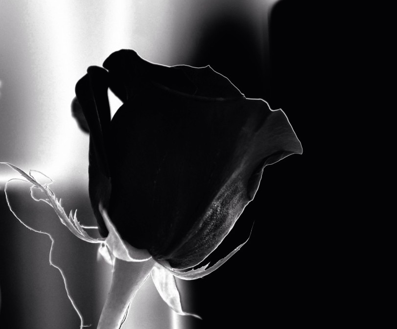 UrbanFool's tweet image. #CerenÖzdemir