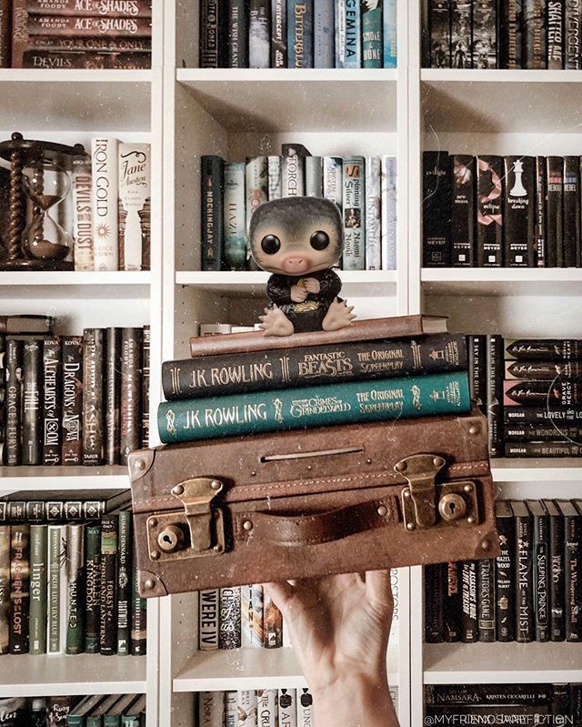 Kris10MFAF's tweet photo. What is a popular book or movie you havenโt seen or read?
I STILL havenโt seen or read #fantasticbeasts or #thecrimesofgrindelwald ๐ I really need to! Did you prefer reading it or watching?
#niffler #nifflerfunko #shelfie #bookshelves #booksinhand #jkrowling https://t.co/AwbWuC72mr