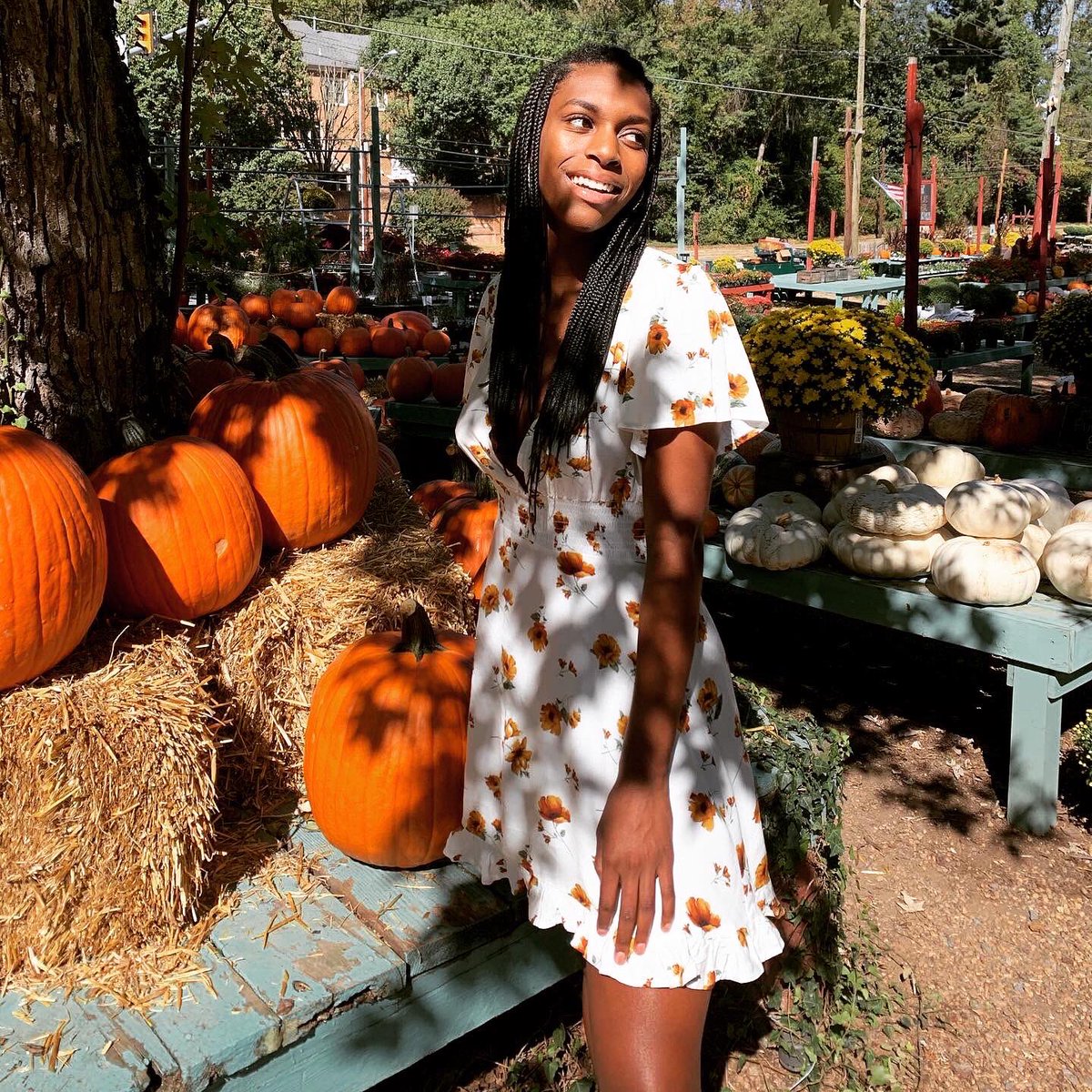 RunwayKitty's tweet photo. Pumpkin spice & everything nice #friyayvibes 🍂🍁 #loveautumn #tallswag https://t.co/hGl2VsvvJP