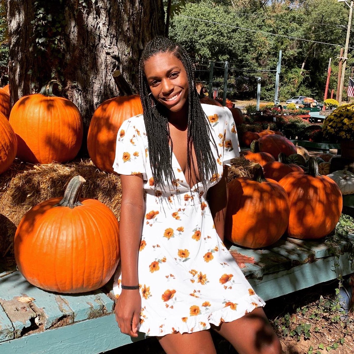 RunwayKitty's tweet photo. Pumpkin spice & everything nice #friyayvibes 🍂🍁 #loveautumn #tallswag https://t.co/hGl2VsvvJP