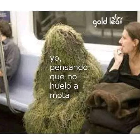 420problem's tweet photo. Sobre todo los fines de semana #weedporn #cannabiscommunity #cannabis #420Mx #weed #autocultivoya #enrollayrola #autocultivolegal… #420Pr... https://t.co/9Hj4m1YHKM