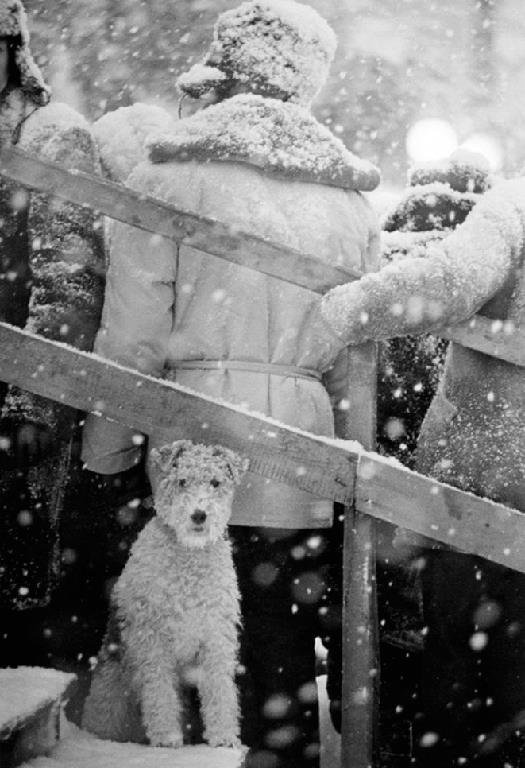 Vladimir Bogdanov - Not my doggone business. 1965