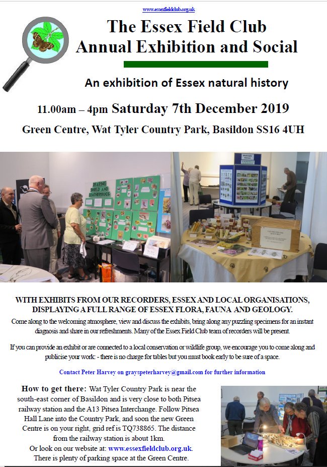 Essex Field Club tweet media