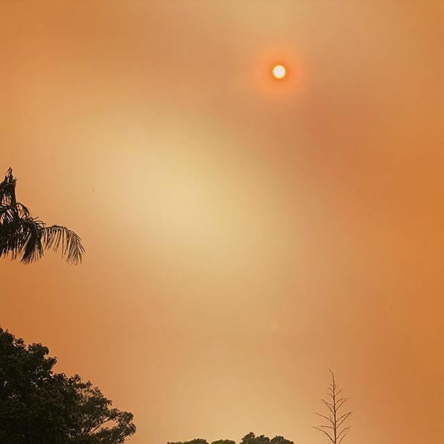 idocupcakes's tweet photo. Ash all over the ground and very eerie glow that we are growing all too accustomed to. Stay safe everyone and a very big thank you to al the firefighters and emergency services staff who run into the fire to keep us safe https://t.co/rknK0KbFOl https://t.co/OQqWMIi4o1