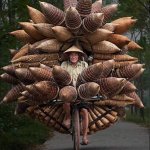 「大量のタケノコに見える!」ベトナム人の自転車のペダルを漕ぐパワーには驚かされる!