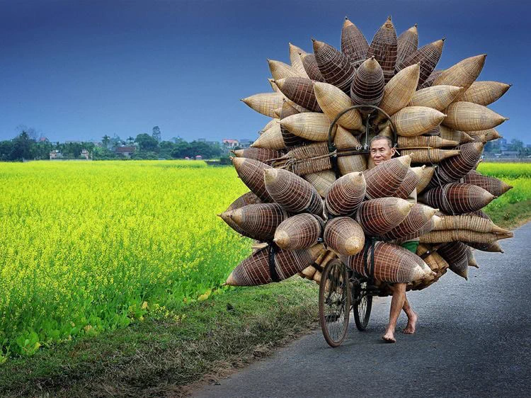 「大量のタケノコに見える！」ベトナム人の自転車のペダルを漕ぐパワーには驚かされる！