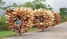 「大量のタケノコに見える！」ベトナム人の自転車のペダルを漕ぐパワーには驚かされる！