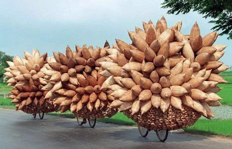 「大量のタケノコに見える！」ベトナム人の自転車のペダルを漕ぐパワーには驚かされる！