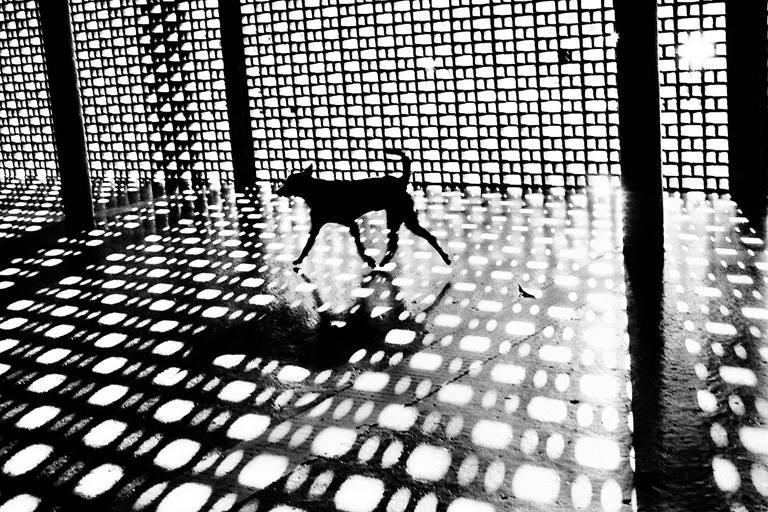 Christopher Anderson - Venezuela, 1970.