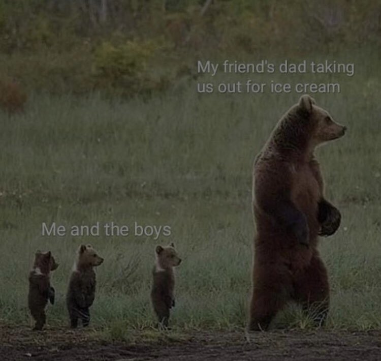 RespectfulMemes's tweet photo. https://t.co/BMaCeDSl4J