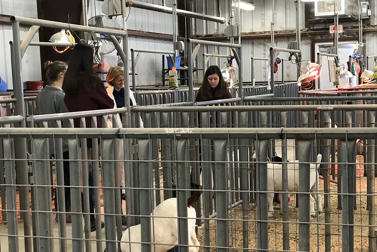 wakelandffa's tweet photo. HUGE “Thank You” to Dr. Edge for coming to visit us at the livestock project center! We are so happy to share our passion with you. Come see us at the Ag barn anytime, we‘ll be there. #whsffa #fisdagdept @WakelandHS @WakelandAccess #fisdlivestock https://t.co/9gRn6tfMpi