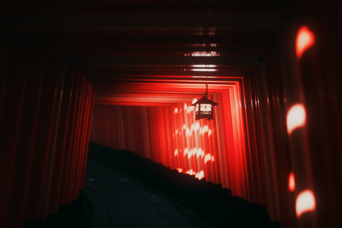 Freaksboi's tweet photo. Such a beautiful game
Game : Explore Fushimi Inari
Developper : #cavesrd
(His instagram : https://t.co/qONtDUVvo3 )
Flickr : https://t.co/iipYfcOLqh
https://t.co/AhvETq4Ibc
#VGPUnite #GamerGram #VirtualPhotography #Gametography #ExploreFushimiInari https://t.co/mKTQZKac53