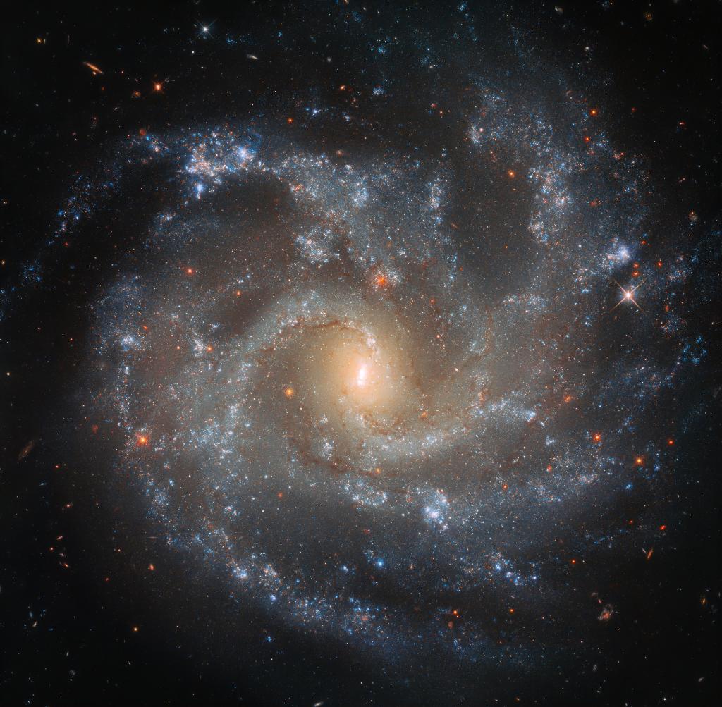 NASA's tweet image. Dramatic much? Dying stars sure are. 🙄 

Their catastrophic explosions let out an intensely bright glow, often times rivaling the light of a whole galaxy. Can you spot the culprits in this @NASAHubble image? go.nasa.gov/2DZkoeV
